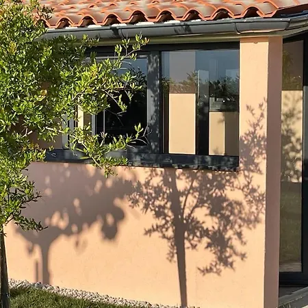 Studio Lissa Koper